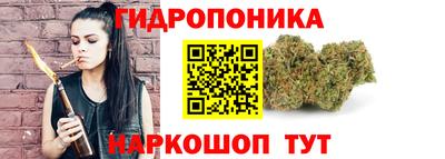 индика Нарткала